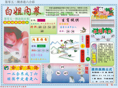 白小姐内幕A